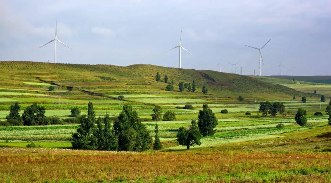 1642987495264428.jpeg 1642987495264428.jpeg